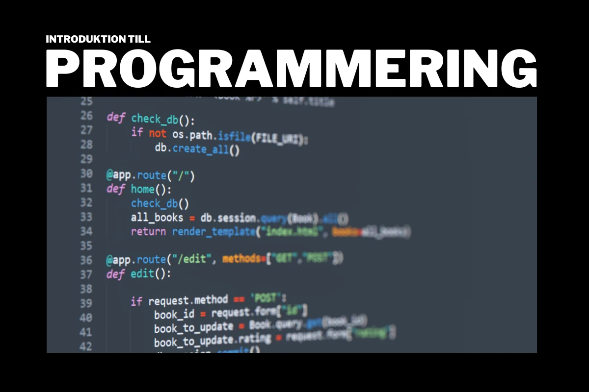 Introduktion till Programmering